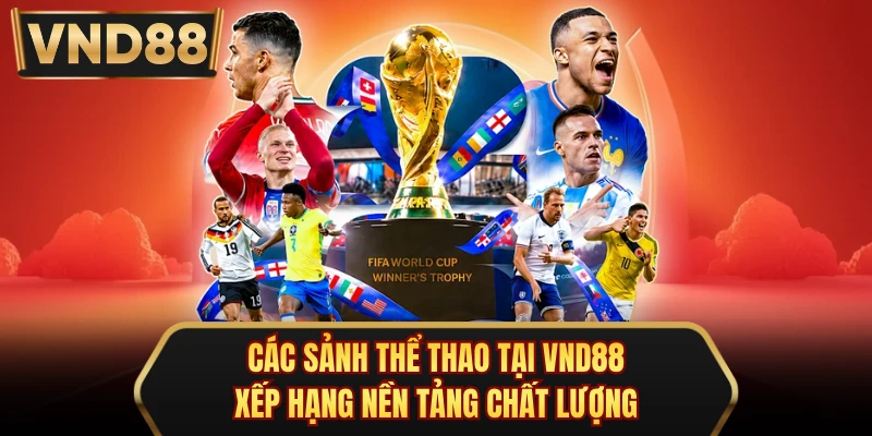 Các Sảnh Thể Thao Tại VND88 - Xếp Hạng Nền Tảng Chất Lượng