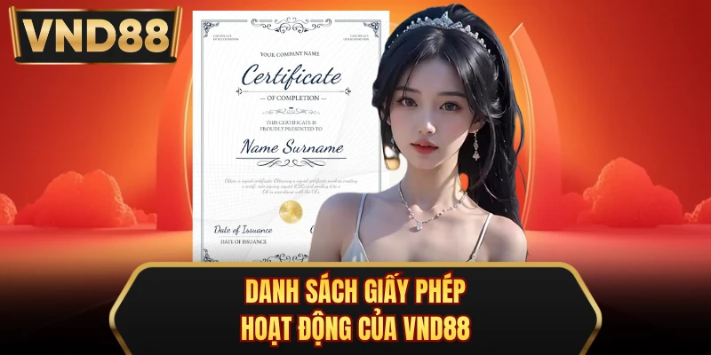 Danh sách giấy phép hoạt động của VND88