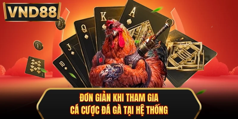 Đơn giản khi tham gia cá cược đá gà tại hệ thống